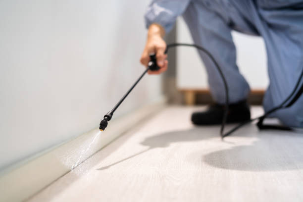 Licensed Pest Control service in Ellendale, ND - Show Me Pest Control