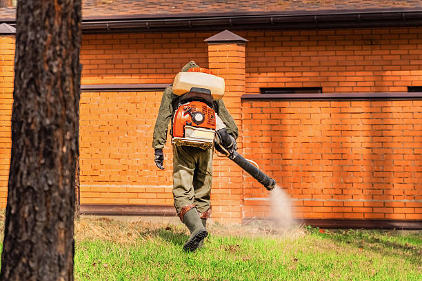 Top rated local Mosquito Control specialists in Ellendale, ND